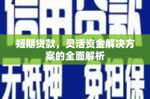 新园短期贷款，灵活资金解决方案的全面解析