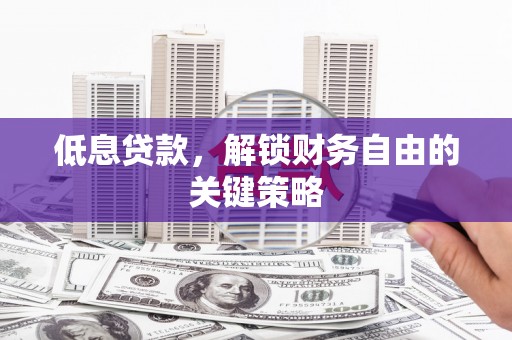 新园低息贷款，解锁财务自由的关键策略