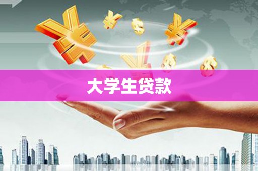 新园大学生贷款
