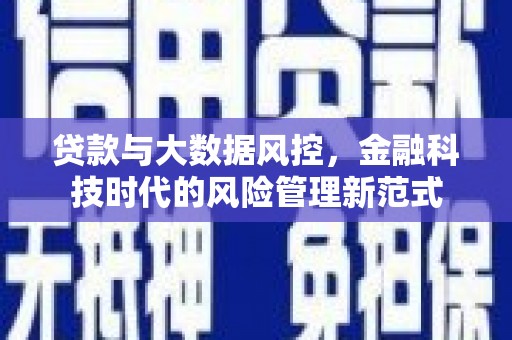 新园贷款与大数据风控，金融科技时代的风险管理新范式