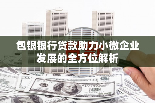 新园包银银行贷款助力小微企业发展的全方位解析