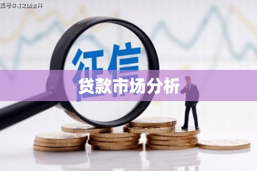 新园贷款市场分析