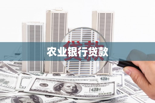 新园农业银行贷款