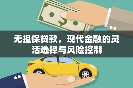 新园无担保贷款，现代金融的灵活选择与风险控制