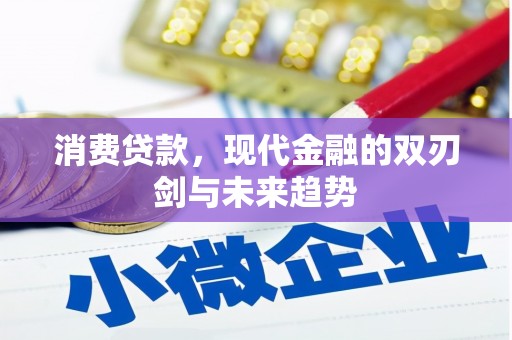 新园消费贷款，现代金融的双刃剑与未来趋势