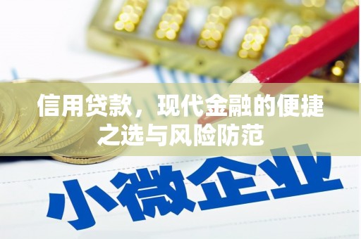 新园信用贷款，现代金融的便捷之选与风险防范