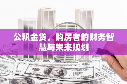 新园公积金贷，购房者的财务智慧与未来规划