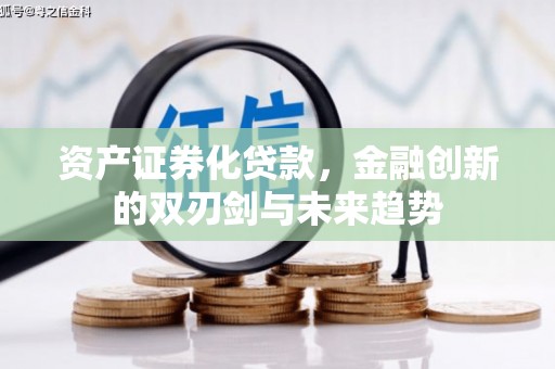 新园资产证券化贷款，金融创新的双刃剑与未来趋势