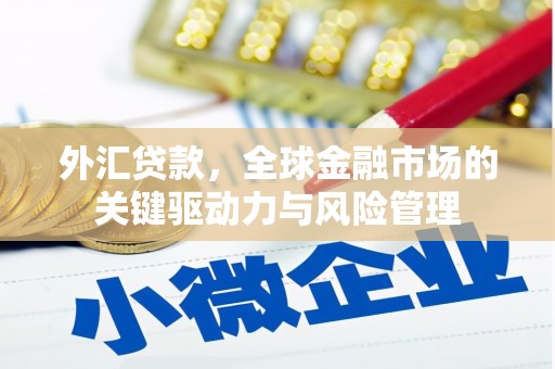 新园外汇贷款，全球金融市场的关键驱动力与风险管理