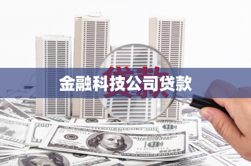 新园金融科技公司贷款