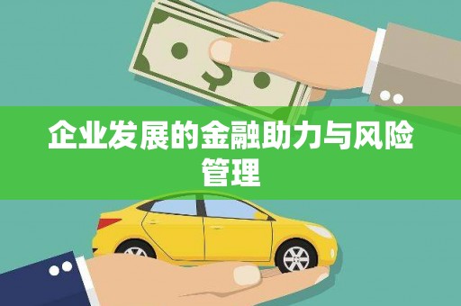 新园企业发展的金融助力与风险管理