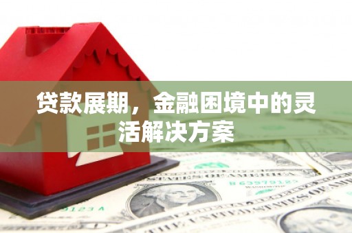 新园贷款展期，金融困境中的灵活解决方案