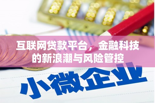新园互联网贷款平台，金融科技的新浪潮与风险管控