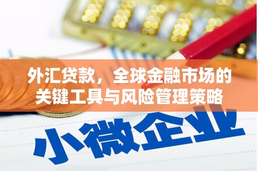 新园外汇贷款，全球金融市场的关键工具与风险管理策略