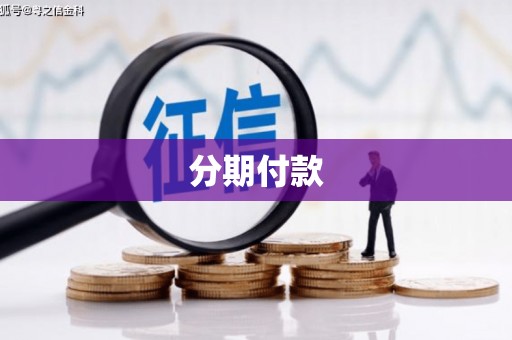 新园分期付款