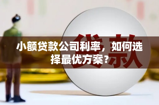 新园小额贷款公司利率，如何选择最优方案？
