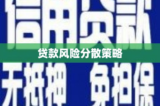 新园贷款风险分散策略