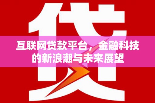 新园互联网贷款平台，金融科技的新浪潮与未来展望