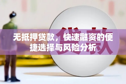 新园无抵押贷款，快速融资的便捷选择与风险分析