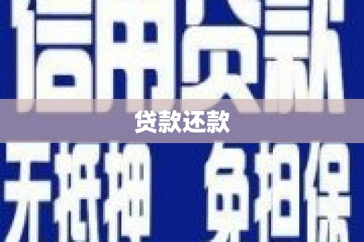 新园贷款还款