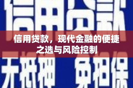 新园信用贷款，现代金融的便捷之选与风险控制