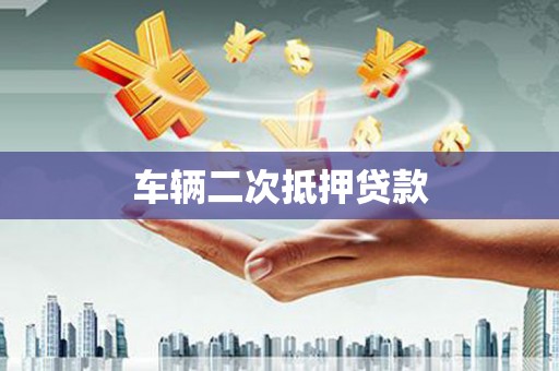 新园车辆二次抵押贷款