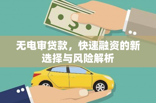 新园无电审贷款，快速融资的新选择与风险解析