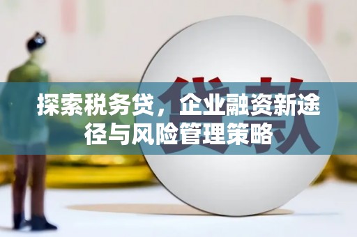 新园探索税务贷，企业融资新途径与风险管理策略