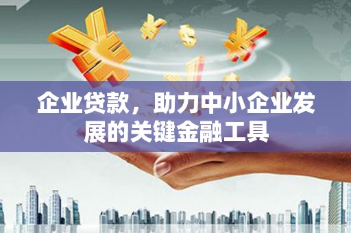 新园企业贷款，助力中小企业发展的关键金融工具