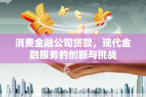 新园消费金融公司贷款，现代金融服务的创新与挑战