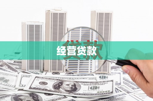 新园经营贷款