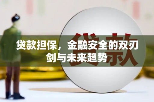 新园贷款担保，金融安全的双刃剑与未来趋势