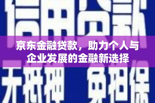 新园京东金融贷款，助力个人与企业发展的金融新选择