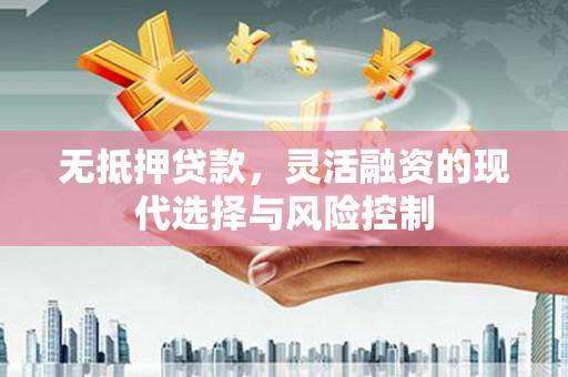新园无抵押贷款，灵活融资的现代选择与风险控制