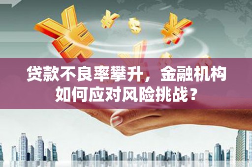 新园贷款不良率攀升，金融机构如何应对风险挑战？