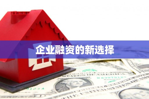 新园企业融资的新选择