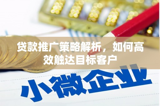新园贷款推广策略解析，如何高效触达目标客户