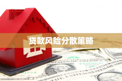 新园贷款风险分散策略
