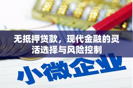 新园无抵押贷款，现代金融的灵活选择与风险控制