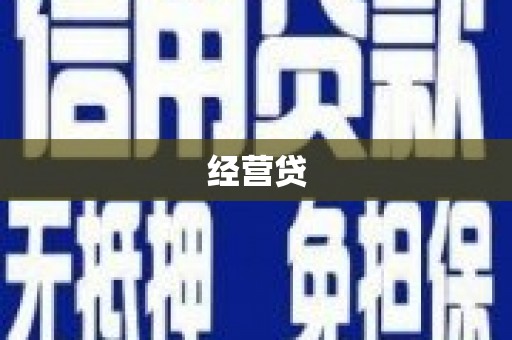 新园经营贷