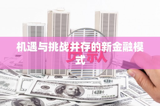 新园机遇与挑战并存的新金融模式