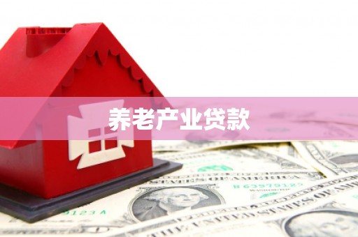 新园养老产业贷款