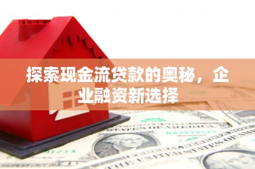 新园探索现金流贷款的奥秘，企业融资新选择