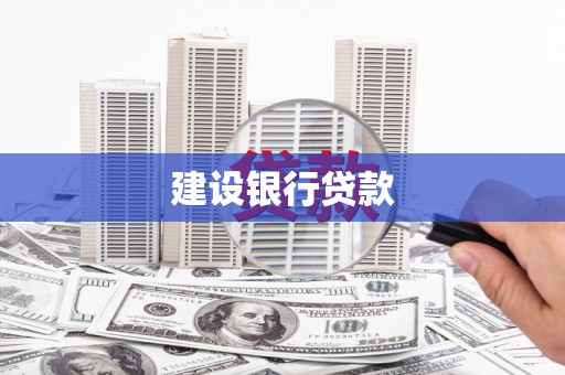 新园建设银行贷款