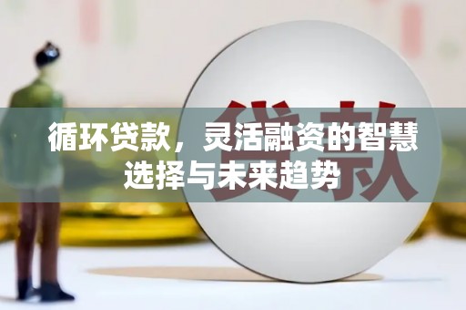 新园循环贷款，灵活融资的智慧选择与未来趋势
