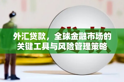 新园外汇贷款，全球金融市场的关键工具与风险管理策略
