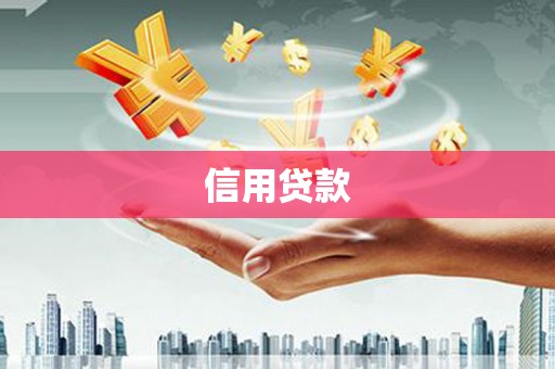 新园信用贷款