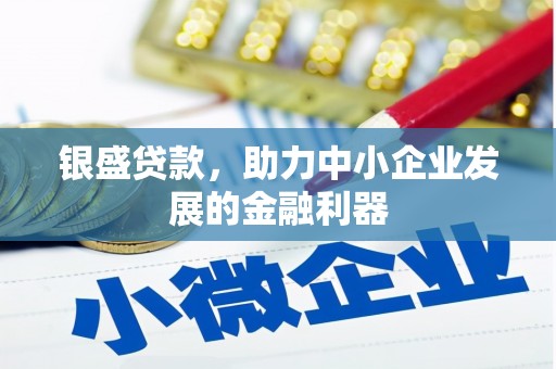 新园银盛贷款，助力中小企业发展的金融利器