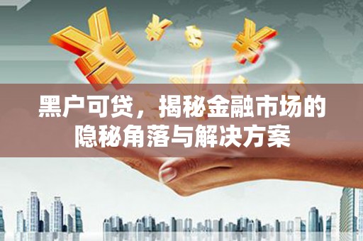 新园黑户可贷，揭秘金融市场的隐秘角落与解决方案