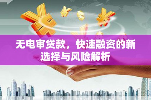 新园无电审贷款，快速融资的新选择与风险解析